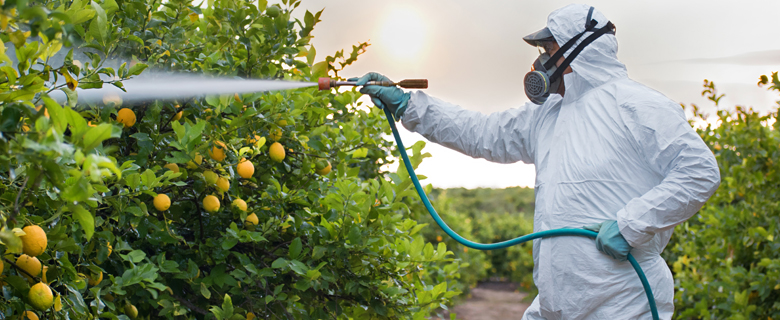 Agricultural Pest Control Career Pathway: Complete Guide to Professional Opportunities Agricultural Pest Control Career Pathway: Complete Guide to Professional Opportunities