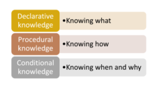 Human Capital: Understanding Employee Knowledge, Skills, and Expertise in the Modern Workplace Human Capital: Understanding Employee Knowledge, Skills, and Expertise in the Modern Workplace