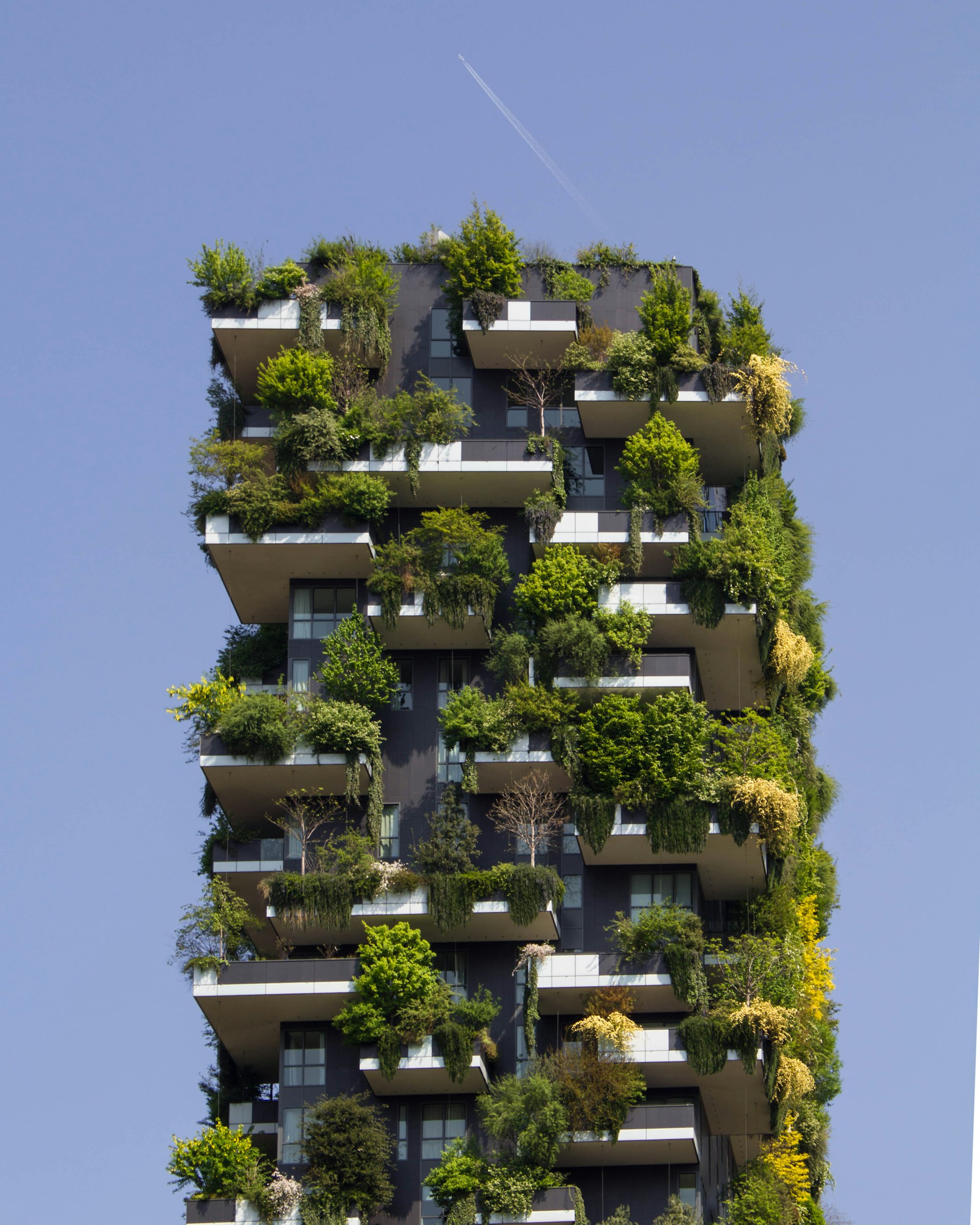 Building a Greener Future: How Sustainable Housing Developments Transform Communities Building a Greener Future: How Sustainable Housing Developments Transform Communities