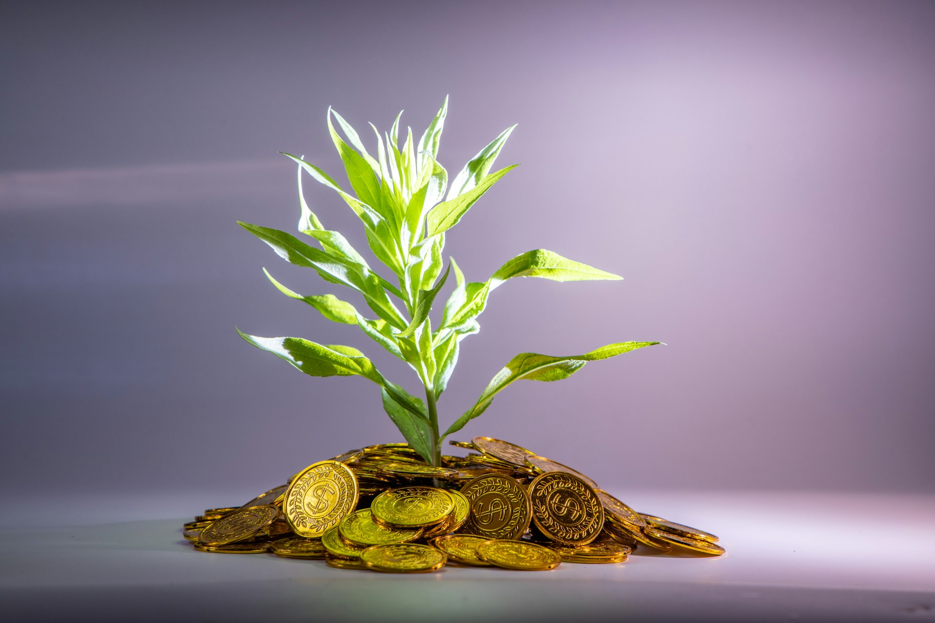 Comprehensive Strategies for Building Sustainable Pension Funds: A 2025 Guide