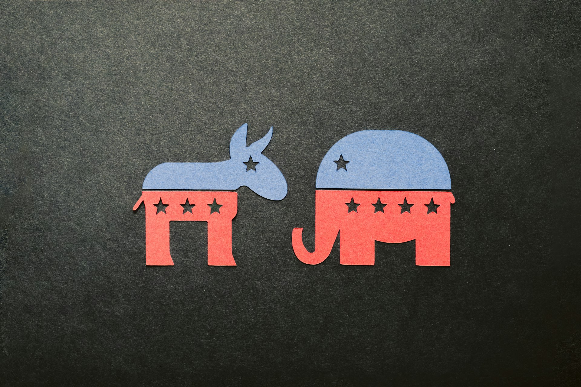 Step-by-Step Guide to Starting a Successful Career in Politics
